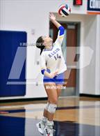 Photo from the gallery "Steele vs. Klein"
