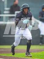 Photo from the gallery "Tesoro @ Servite"