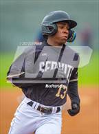 Photo from the gallery "Tesoro @ Servite"