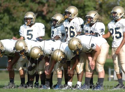 Thumbnail 2 in Freshman Plainville @ Platt photogallery.