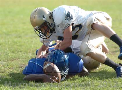 Thumbnail 2 in Freshman Plainville @ Platt photogallery.