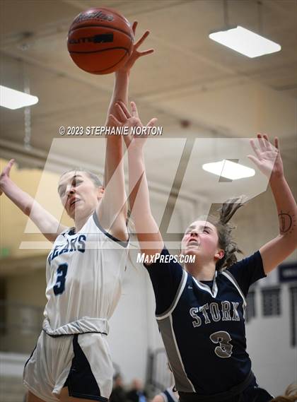 Thumbnail 1 in Olympia vs Skyview (WIAA 4A District Playoff) photogallery.