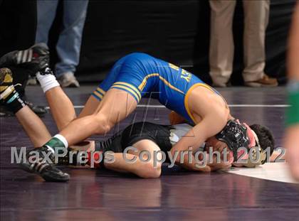 Thumbnail 3 in CIF State Wrestling Championships (Day 1 - Round 1) photogallery.