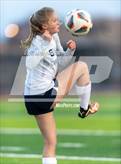 Photo from the gallery "Evergreen @ Windsor"