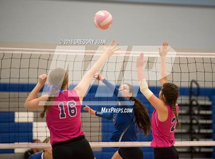 Thumbnail 3 in St. Scholastica vs. Lutcher (Penguin Volleyball Classic) photogallery.