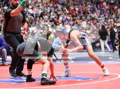 Thumbnail 3 in CHSAA 3A Semifinals photogallery.