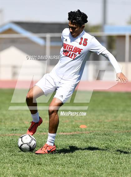 Thumbnail 1 in Antelope Valley @ Quartz Hill photogallery.