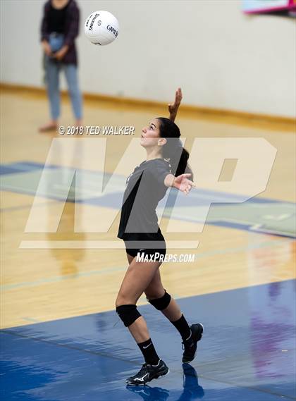 Thumbnail 1 in Homestead @ Los Altos photogallery.