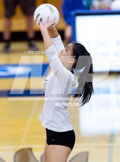 Thumbnail 3 in Homestead @ Los Altos photogallery.