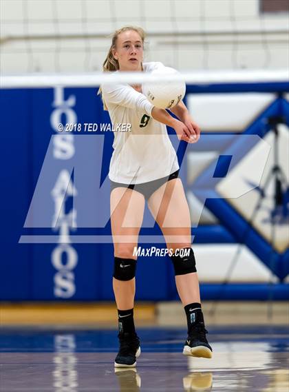 Thumbnail 3 in Homestead @ Los Altos photogallery.