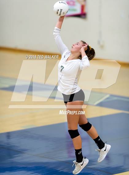 Thumbnail 1 in Homestead @ Los Altos photogallery.