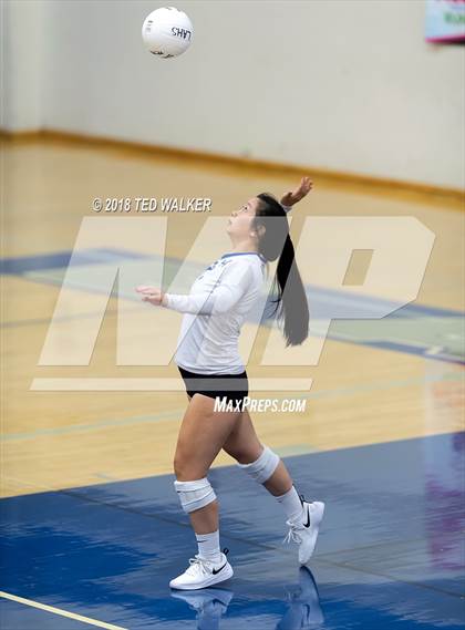 Thumbnail 1 in Homestead @ Los Altos photogallery.