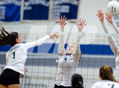 Thumbnail 3 in Homestead @ Los Altos photogallery.