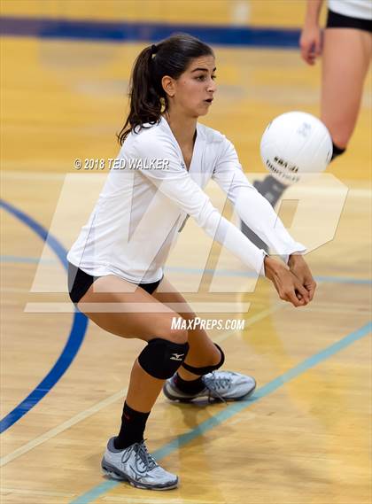 Thumbnail 2 in Homestead @ Los Altos photogallery.
