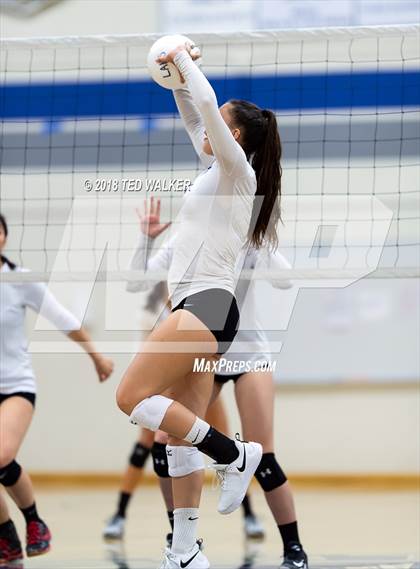 Thumbnail 1 in Homestead @ Los Altos photogallery.