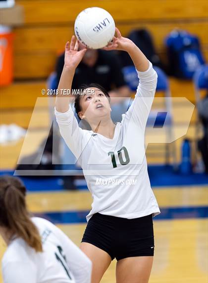 Thumbnail 1 in Homestead @ Los Altos photogallery.