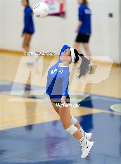 Thumbnail 3 in Homestead @ Los Altos photogallery.
