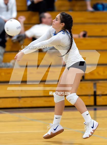 Thumbnail 3 in Homestead @ Los Altos photogallery.