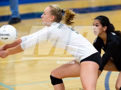 Thumbnail 3 in Homestead @ Los Altos photogallery.