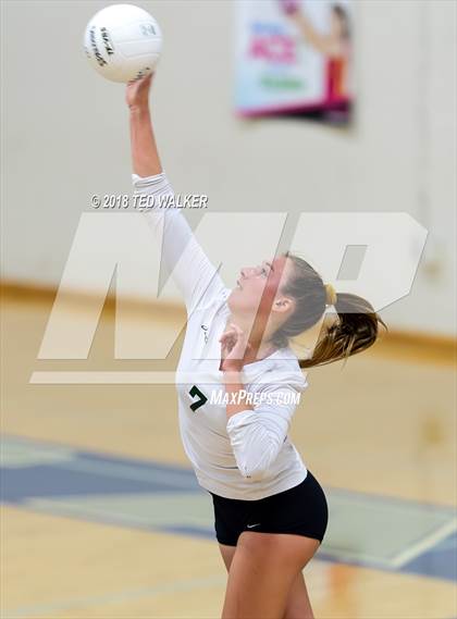Thumbnail 1 in Homestead @ Los Altos photogallery.
