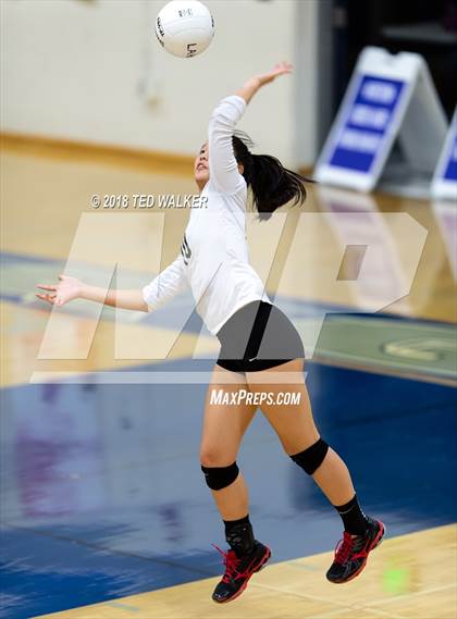 Thumbnail 2 in Homestead @ Los Altos photogallery.