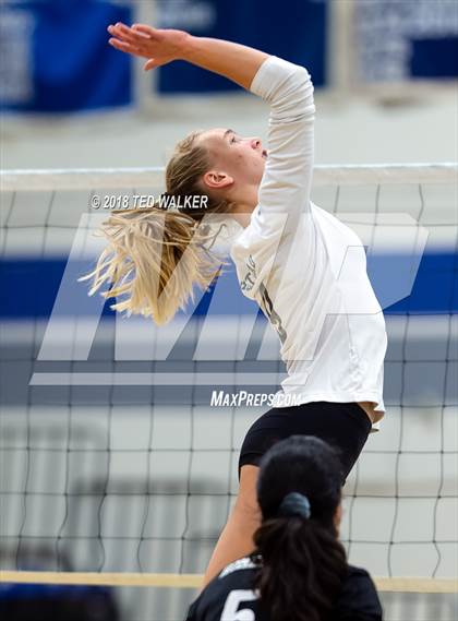 Thumbnail 2 in Homestead @ Los Altos photogallery.