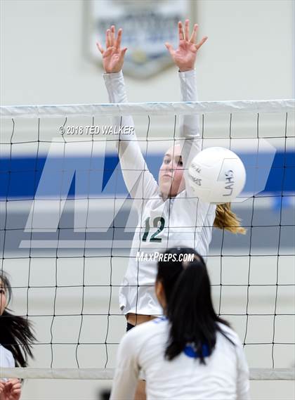 Thumbnail 3 in Homestead @ Los Altos photogallery.