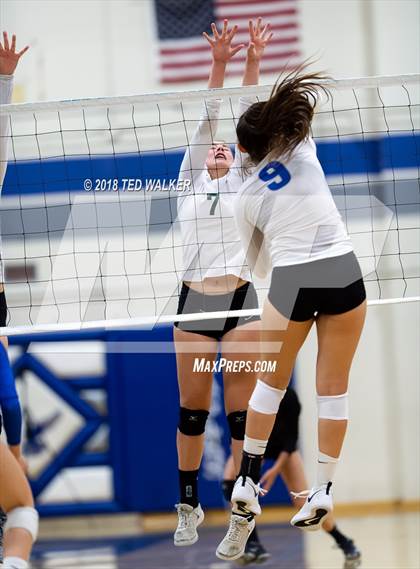 Thumbnail 2 in Homestead @ Los Altos photogallery.