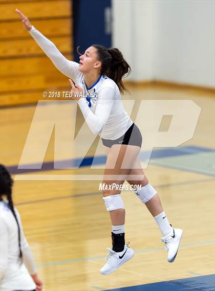 Thumbnail 3 in Homestead @ Los Altos photogallery.