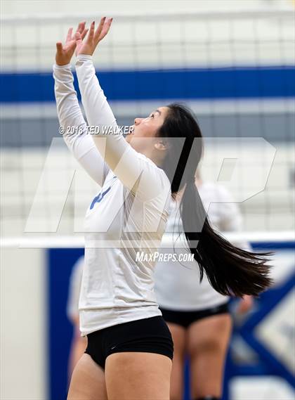 Thumbnail 3 in Homestead @ Los Altos photogallery.