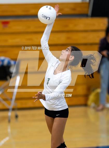 Thumbnail 2 in Homestead @ Los Altos photogallery.