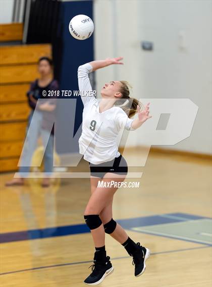 Thumbnail 3 in Homestead @ Los Altos photogallery.