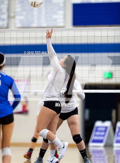 Thumbnail 3 in Homestead @ Los Altos photogallery.