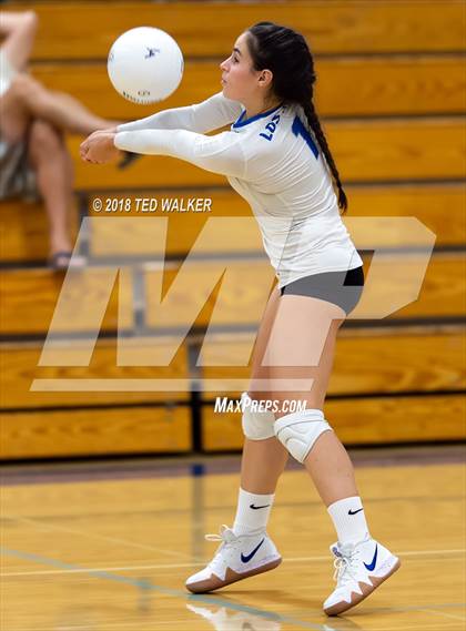 Thumbnail 3 in Homestead @ Los Altos photogallery.