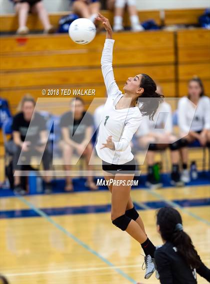 Thumbnail 3 in Homestead @ Los Altos photogallery.