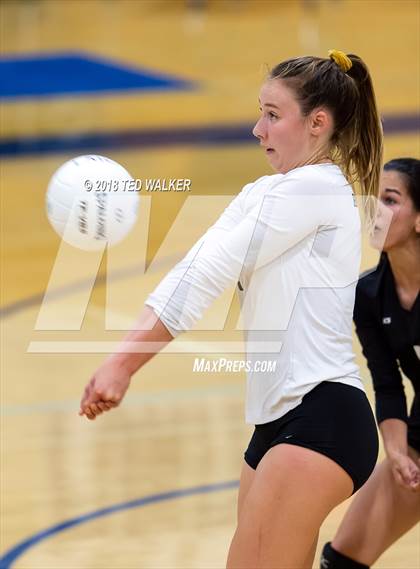 Thumbnail 2 in Homestead @ Los Altos photogallery.