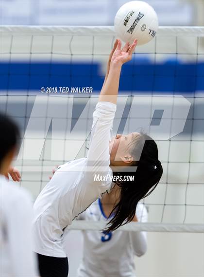 Thumbnail 1 in Homestead @ Los Altos photogallery.