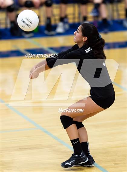 Thumbnail 1 in Homestead @ Los Altos photogallery.