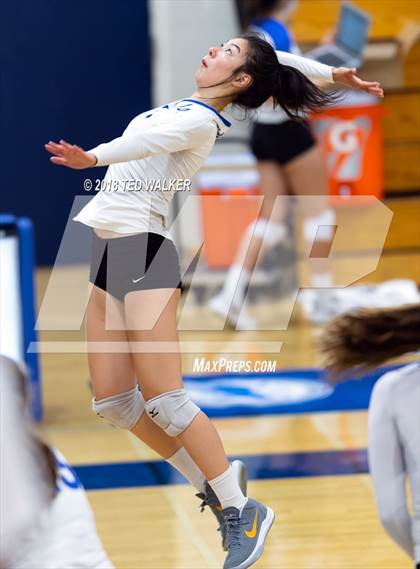 Thumbnail 2 in Homestead @ Los Altos photogallery.