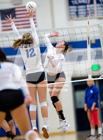 Thumbnail 3 in Homestead @ Los Altos photogallery.