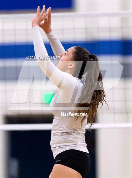 Thumbnail 3 in Homestead @ Los Altos photogallery.