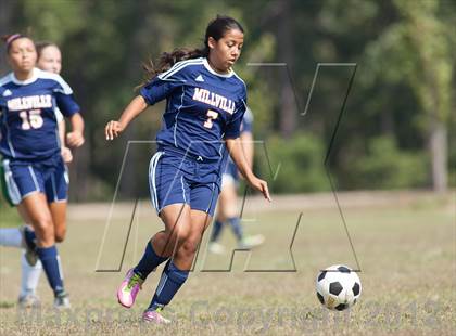 Thumbnail 1 in Millville @ Cedar Creek photogallery.