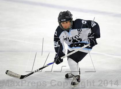 Thumbnail 3 in Hall/Conard @ Wilton/Norwalk photogallery.