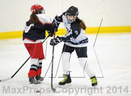 Thumbnail 2 in Hall/Conard @ Wilton/Norwalk photogallery.
