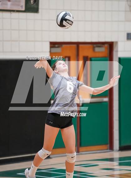 Thumbnail 1 in FR: Liberty @ Basha photogallery.