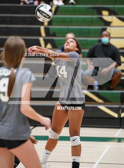 Thumbnail 1 in FR: Liberty @ Basha photogallery.