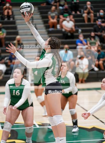 Thumbnail 2 in FR: Liberty @ Basha photogallery.