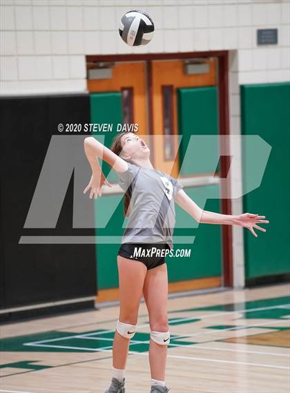 Thumbnail 2 in FR: Liberty @ Basha photogallery.