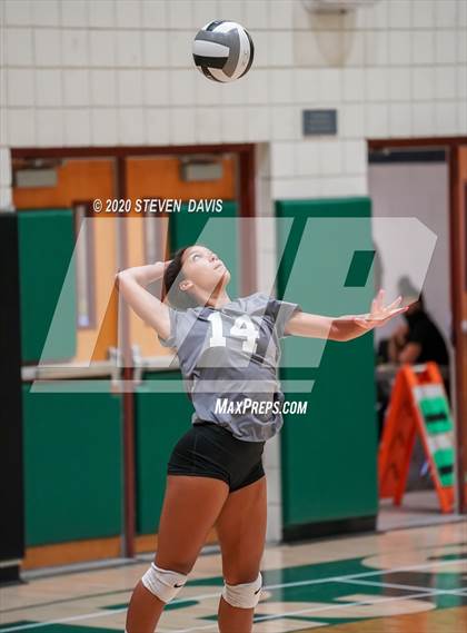 Thumbnail 1 in FR: Liberty @ Basha photogallery.