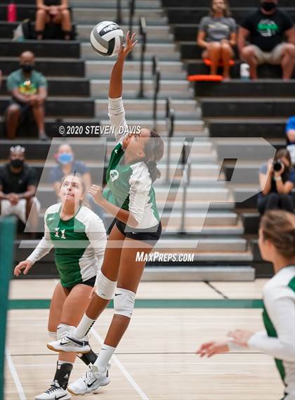 Thumbnail 1 in FR: Liberty @ Basha photogallery.